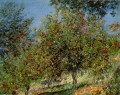 Pommiers sur la colline de Chantemesle Claude Monet